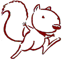 Printer Squirrel